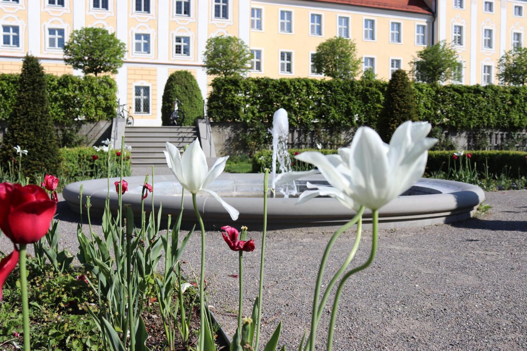 Klostergasthof Roggenburg Ngoại thất bức ảnh